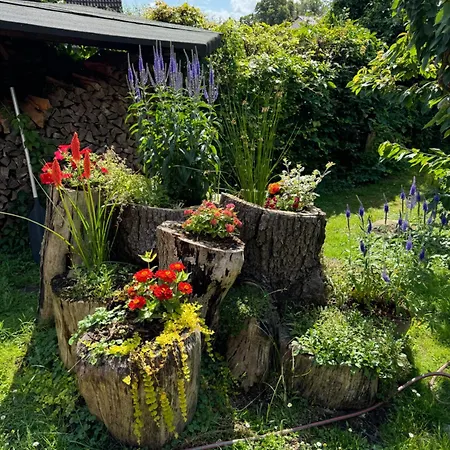 Glamping Nest Mecklenburger Seenplatte *