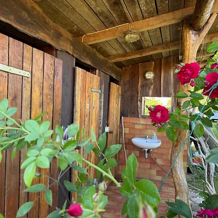 Glamping Nest Mecklenburger Seenplatte Luxuszelt Penzlin